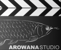 Arowana Studio
