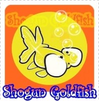 Shogun Goldfish Quality