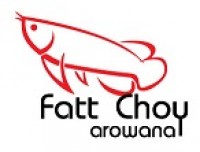 FATT CHOY AROWANA