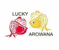 ร้าน Lucky Arowana