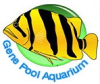 GenePool Aquarium