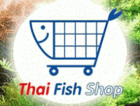 Thai fish shop
