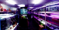 U-aquarium shop 