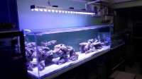 Masterfish Aquarium